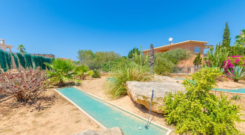 Photo of On Eagle's Wings