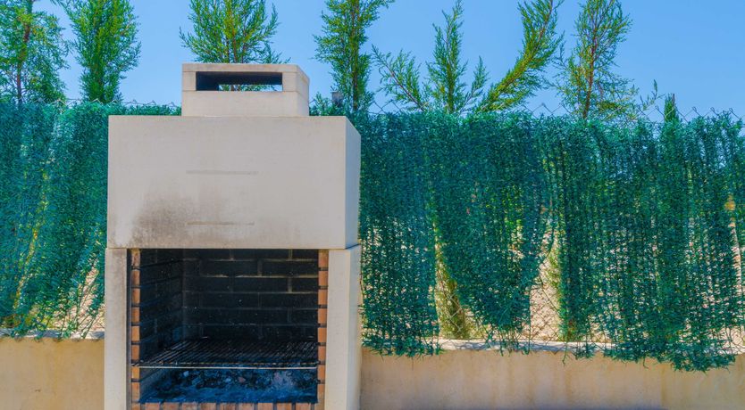 Photo of On Eagle's Wings