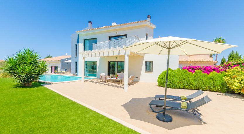 Photo of On Eagle's Wings