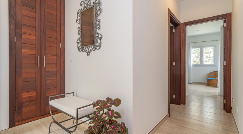 Photo of Water Reflections