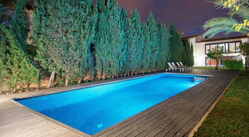 Photo of Orange Burst