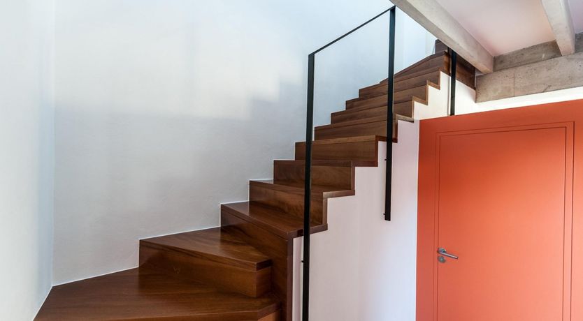 Photo of Orange Burst