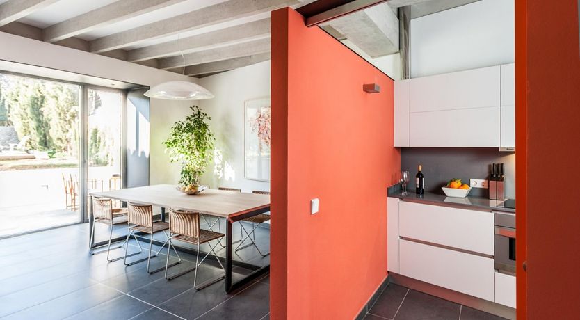 Photo of Orange Burst