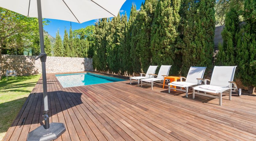 Photo of Orange Burst