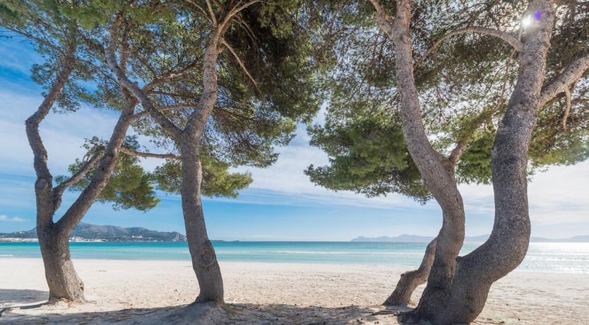 Photo of Star of the Med