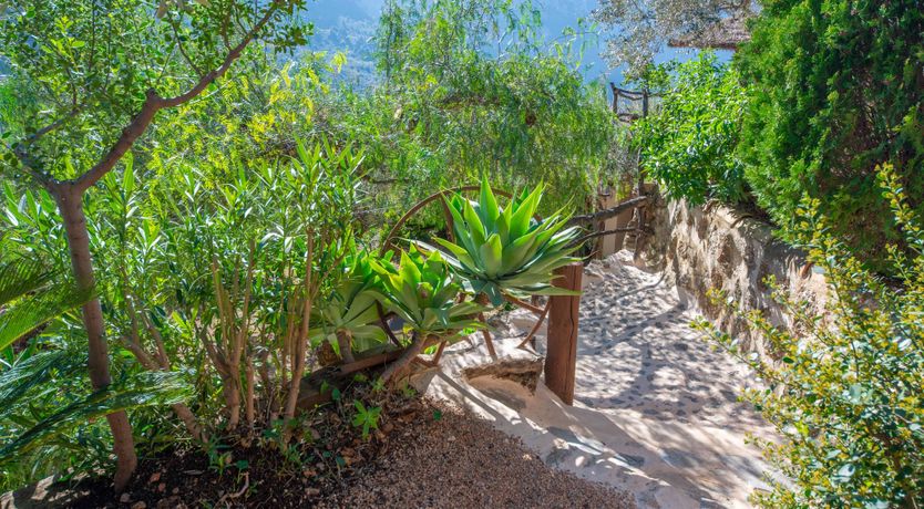 Photo of Sunshine On The Mountains