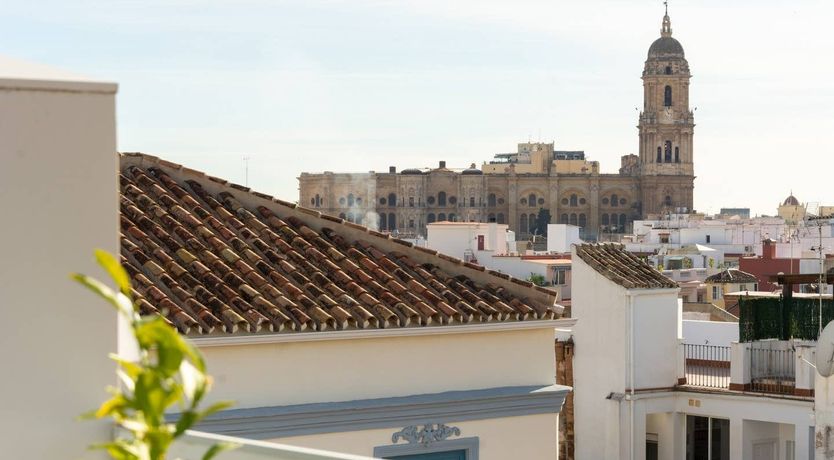 Photo of By the Citrus Tree