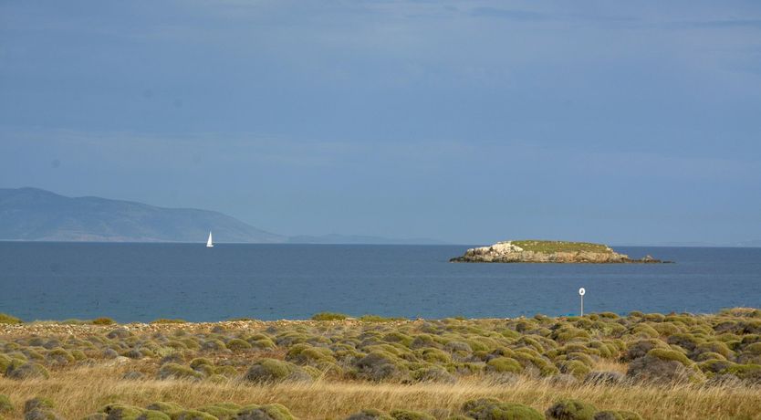 Photo of Polished Marble