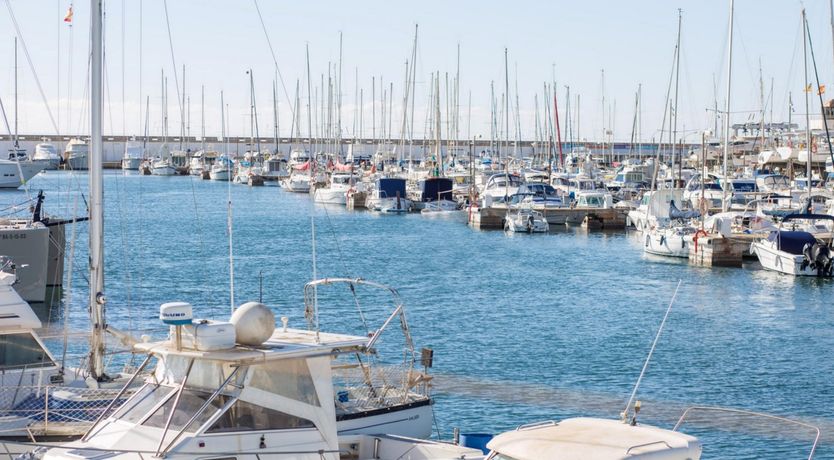 Photo of Seashells On The Shore