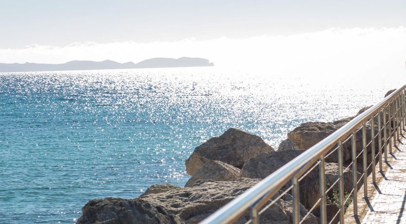 Photo of Seashells On The Shore