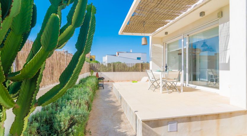 Photo of Seashells On The Shore