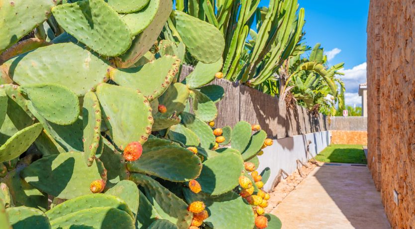 Photo of Seashells On The Shore