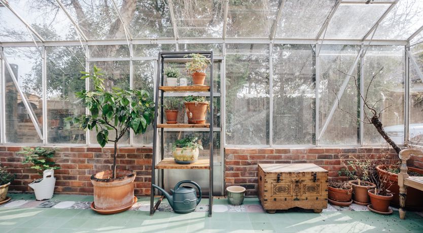 Photo of In The Potting Shed