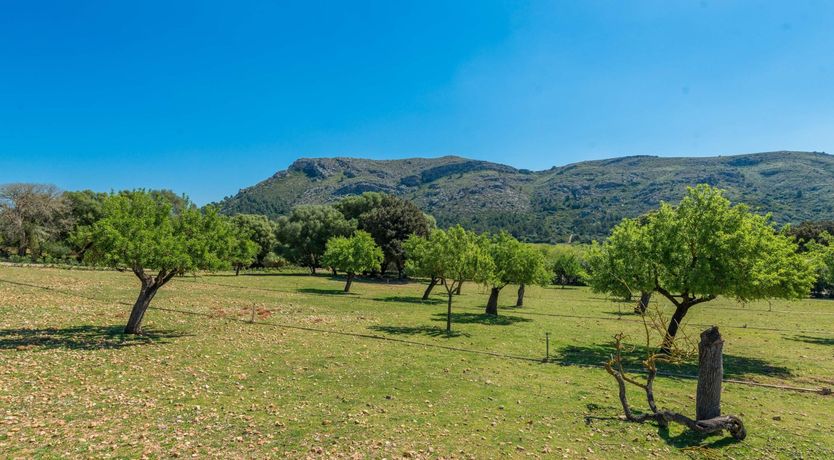 Photo of Sangria Sundown