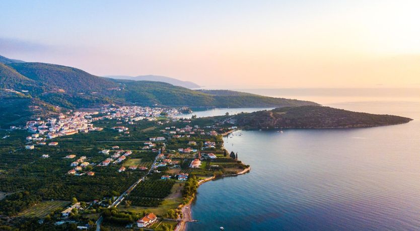 Photo of Citrus & Pine