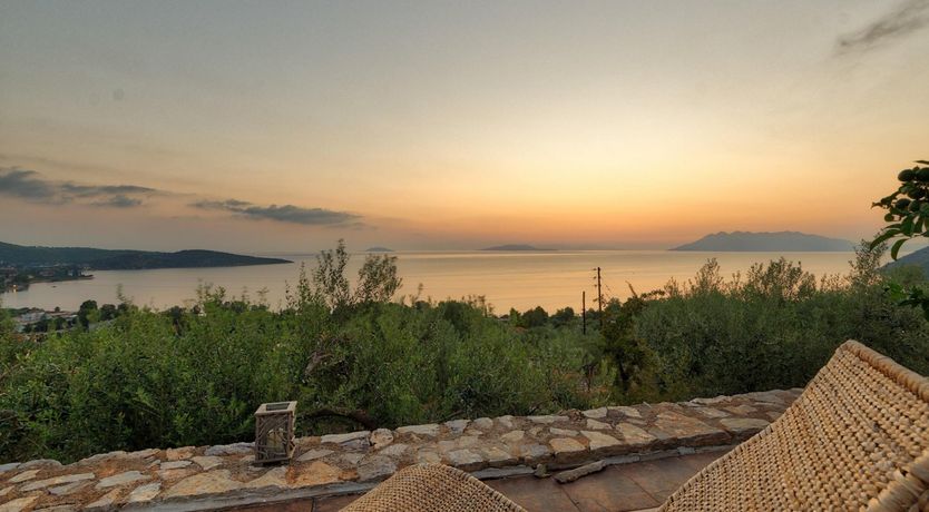 Photo of Citrus & Pine