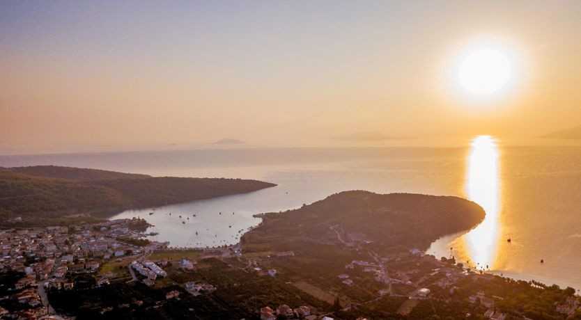 Photo of Citrus & Pine