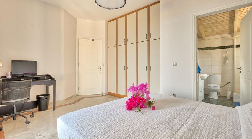 Photo of Citrus & Pine