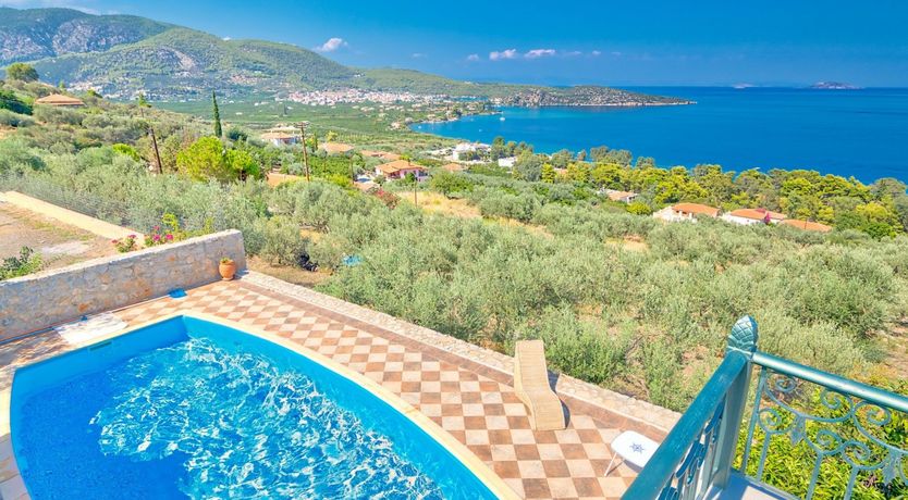 Photo of Citrus & Pine