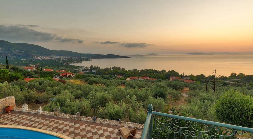 Photo of Citrus & Pine