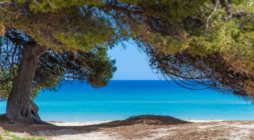 Photo of Balearic Beauty