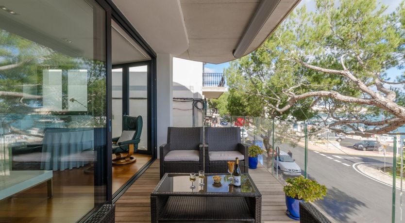 Photo of Mediterranean Muse