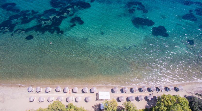 Photo of Shore Leave