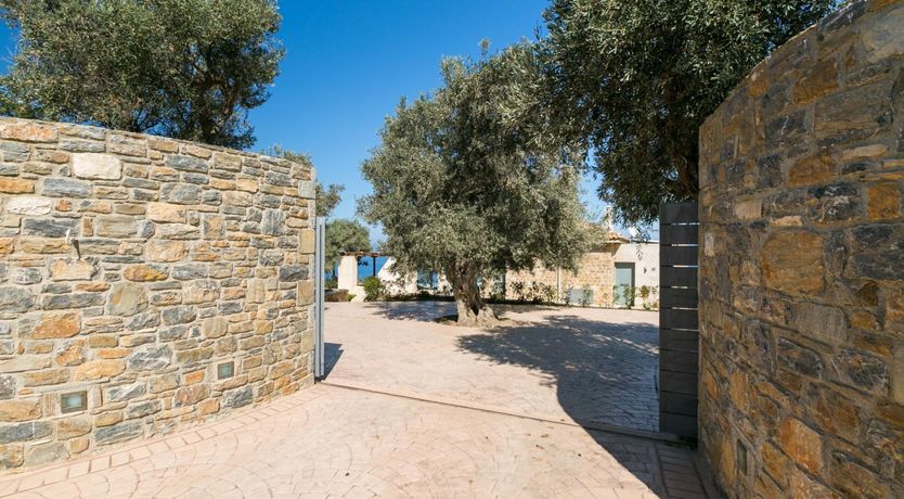 Photo of Mystic Breeze