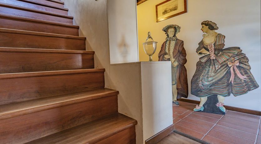 Photo of The Chandelier & The Lagoon