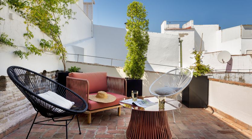 Photo of Orange Trees in Seville