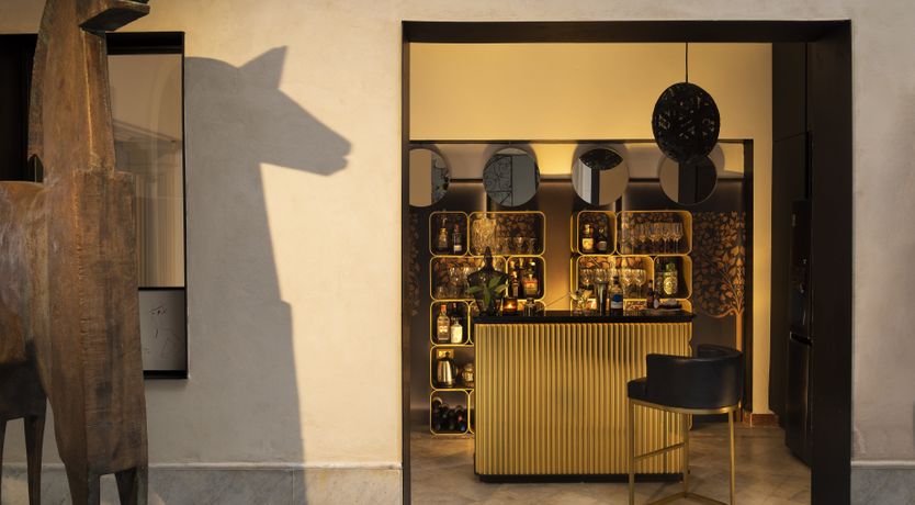 Photo of Orange Trees in Seville