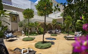 Photo of Orange Trees in Seville