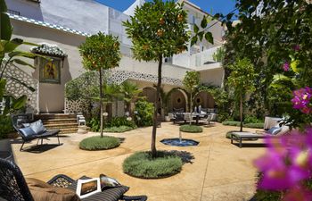 Orange Trees in Seville Villa