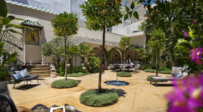 Photo of Orange Trees in Seville