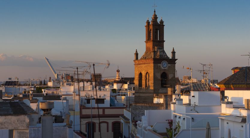 Photo of Orange Trees in Seville