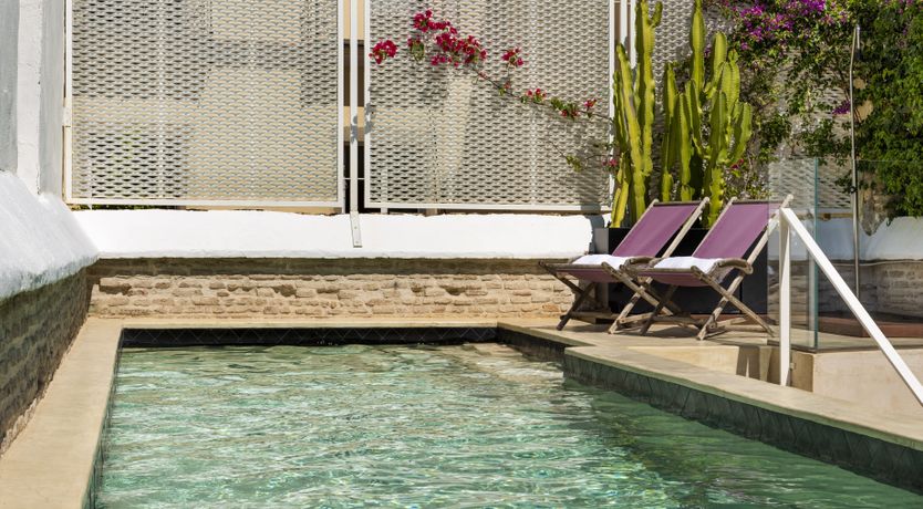 Photo of Orange Trees in Seville