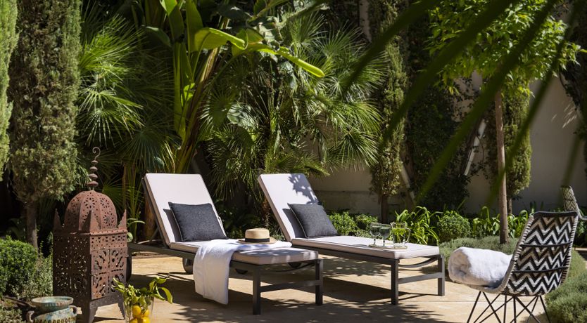 Photo of Orange Trees in Seville
