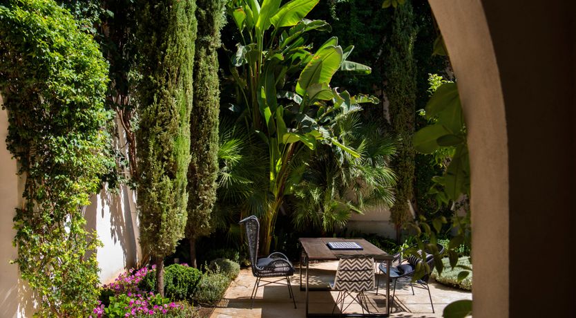 Photo of Orange Trees in Seville