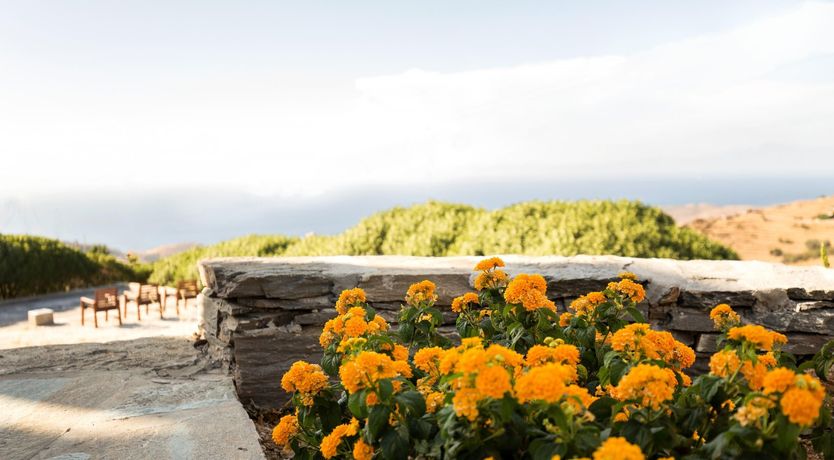 Photo of Sundowners By The Sea