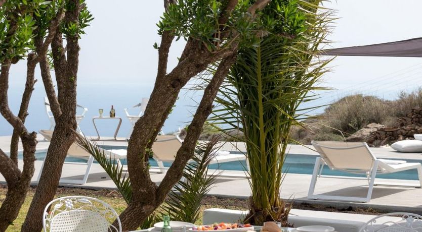 Photo of Olive Stone