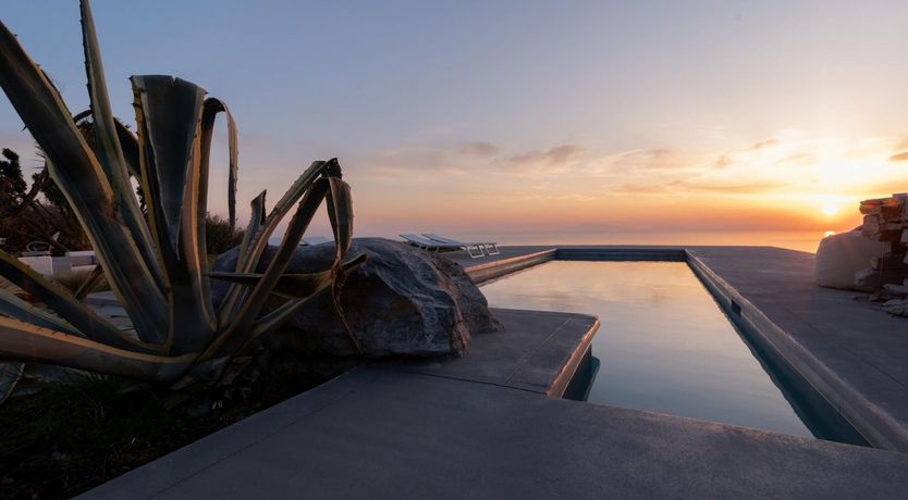 Photo of Olive Stone