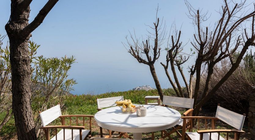 Photo of Olive Stone