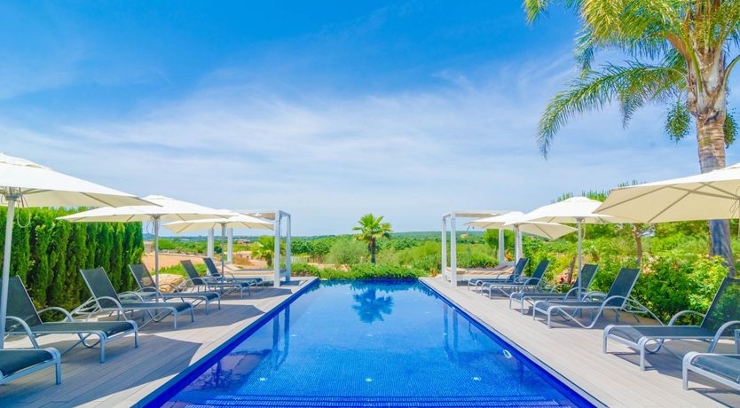 Photo of Fields & Fronds