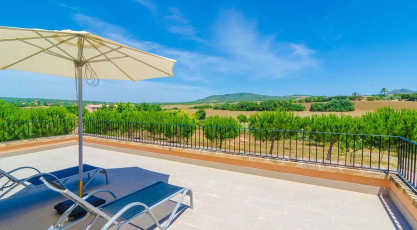 Photo of Fields & Fronds