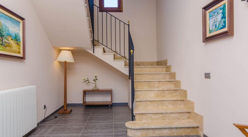 Photo of Fields & Fronds