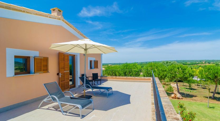 Photo of Fields & Fronds