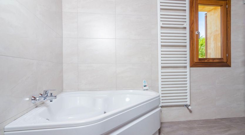 Photo of Fields & Fronds