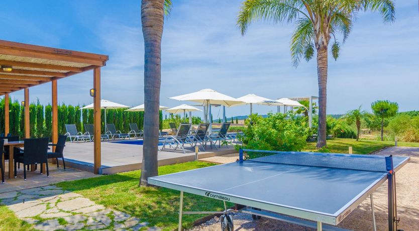 Photo of Fields & Fronds