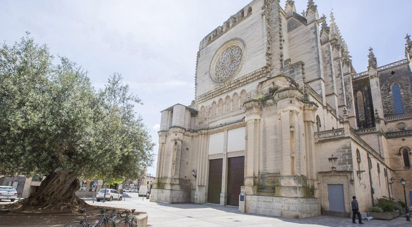 Photo of Fields & Fronds