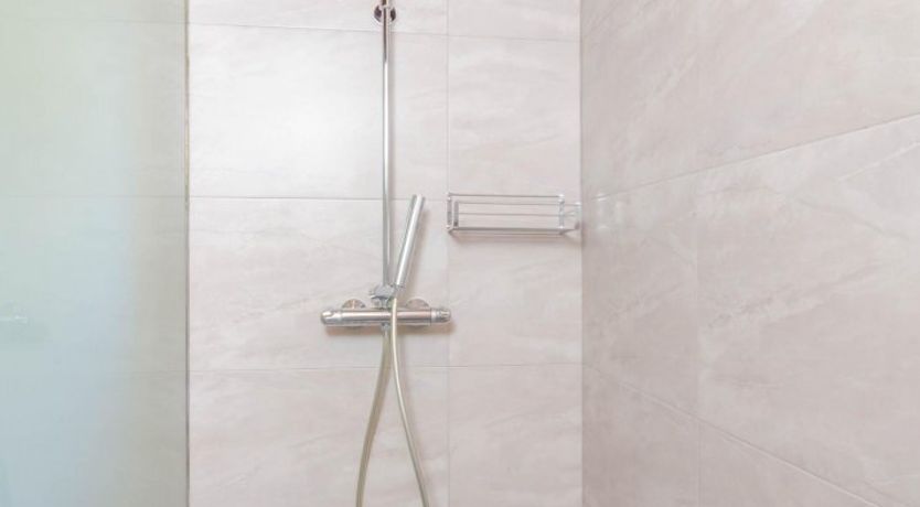 Photo of Fields & Fronds